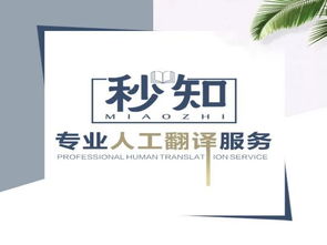 從無到有 秒知教育培訓人工翻譯服務的崛起之路